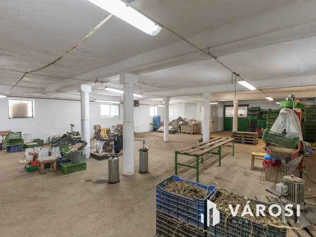 Makói, mezőgazdasági tanya/telephely eladó!