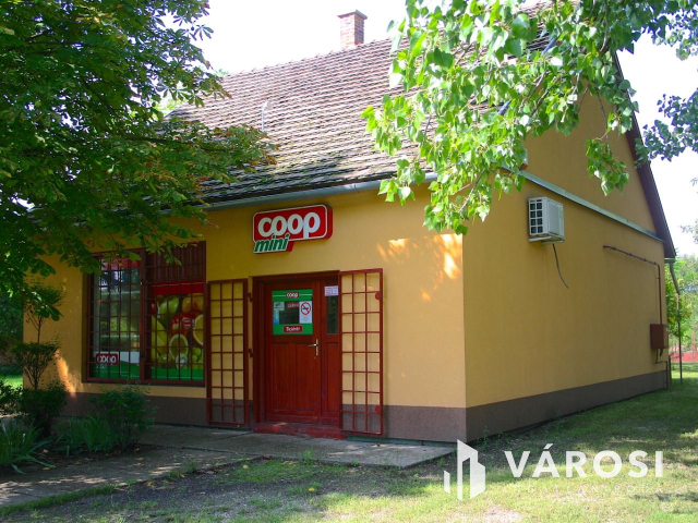 Ha vállalkozást szeretne elindítani,