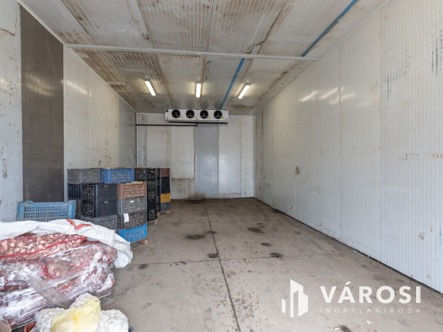 Makói, mezőgazdasági tanya/telephely eladó!