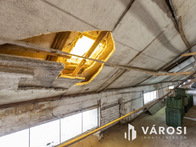 Makói, mezőgazdasági tanya/telephely eladó!