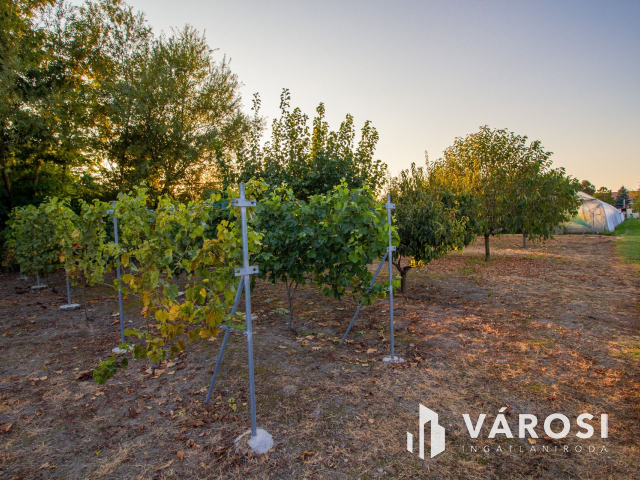 Győrszentiváni nyugalom