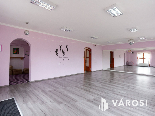 Mindszent központjától 5 perc sétára.