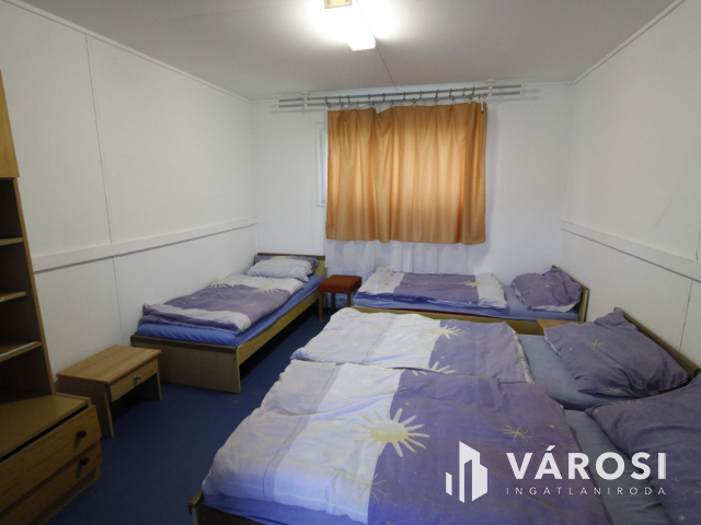 Ez nem üvegtigris, ez jobb! Ez Fapuma