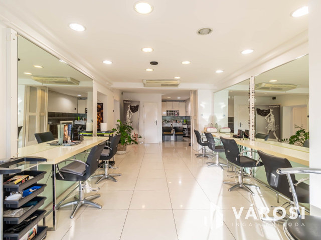 Polgári jellegű magánház Szeged belvárosában