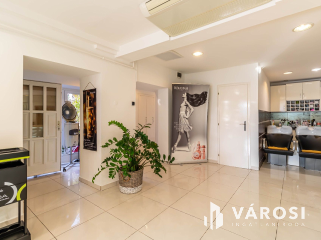 Polgári jellegű magánház Szeged belvárosában