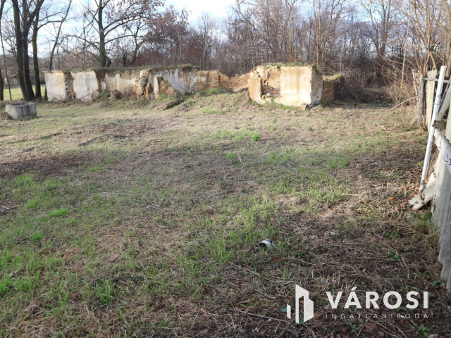 Zalaszentgróti telek ,projekttervel ,ötletes gazdát keres.