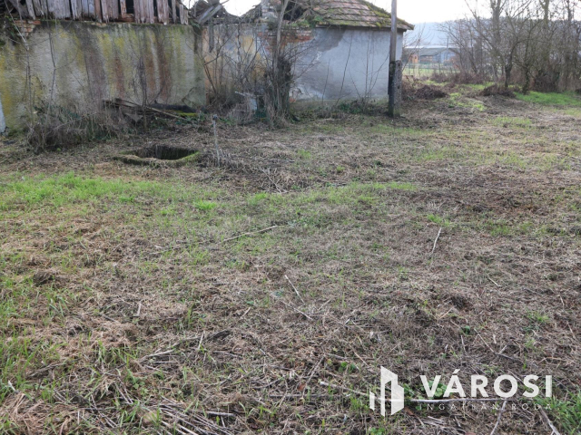 Zalaszentgróti telek ,projekttervel ,ötletes gazdát keres.