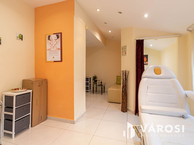 Polgári jellegű magánház Szeged belvárosában