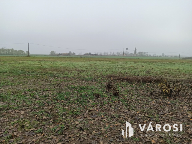 Telephelyet keres üzleti vállalkozásához?