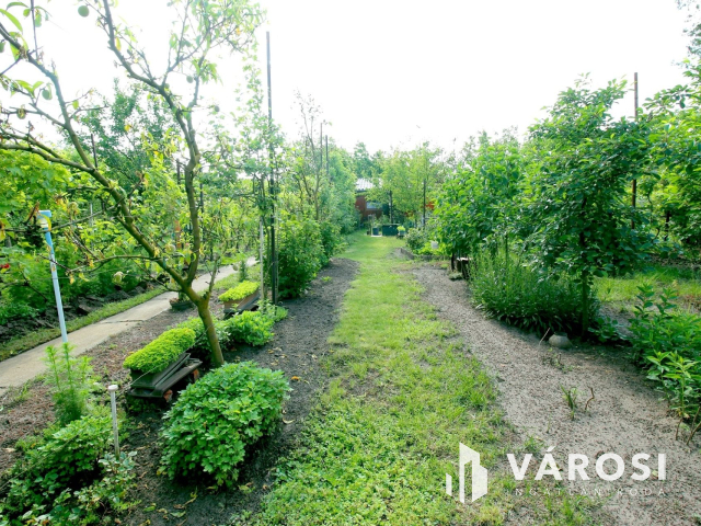 Édenkert Szeged, Sziksóstón