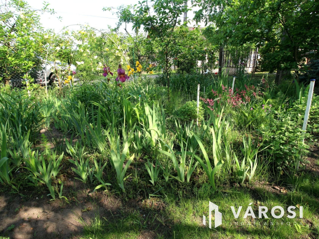 Édenkert Szeged, Sziksóstón