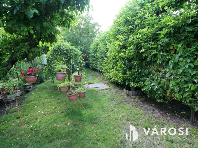 Édenkert Szeged, Sziksóstón