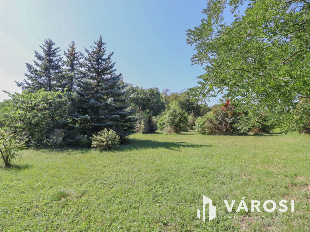 Befektetési lehetőség Vállalkozásra alkalmas 2 szintes ház