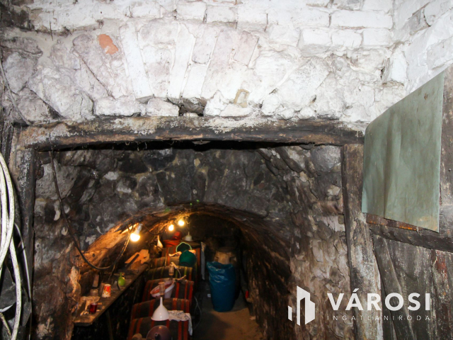 Belterületi nagyméretű telek présházzal és szőlővel Únyon