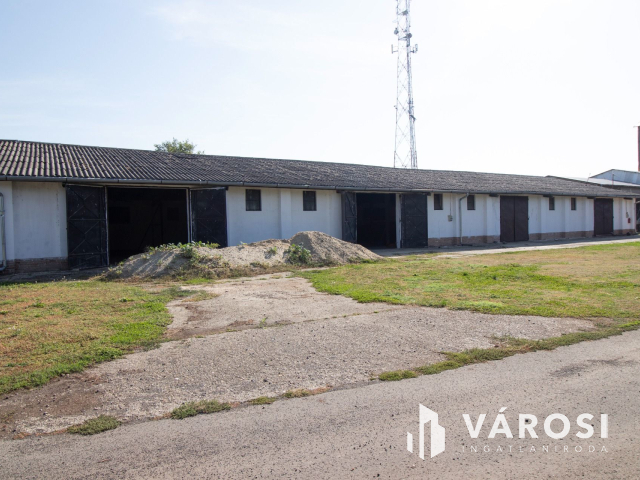 Kiváló adottságú telephely, vasúti iparvágánnyal