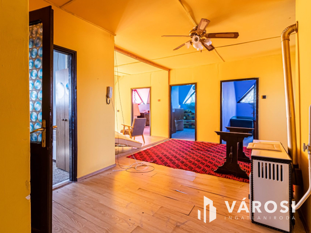 Két generációs ritkaság Sarkadon