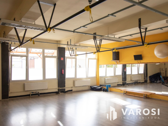 Korszerű ipari ingatlan napelemmel, városközpontban!