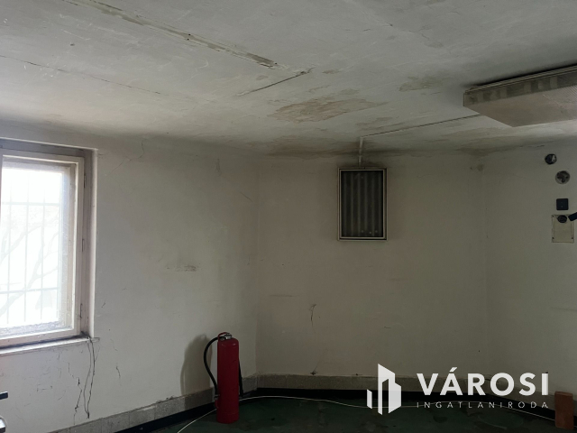 Budapesten nagy ház telekkel eladó!