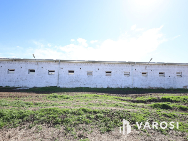 Eladó sertéstelep Szeghalom határában 11 ha területen