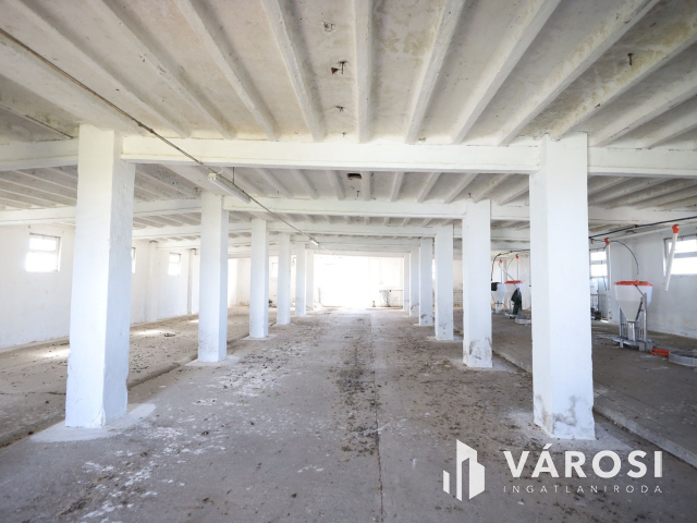 Eladó sertéstelep Szeghalom határában 11 ha területen