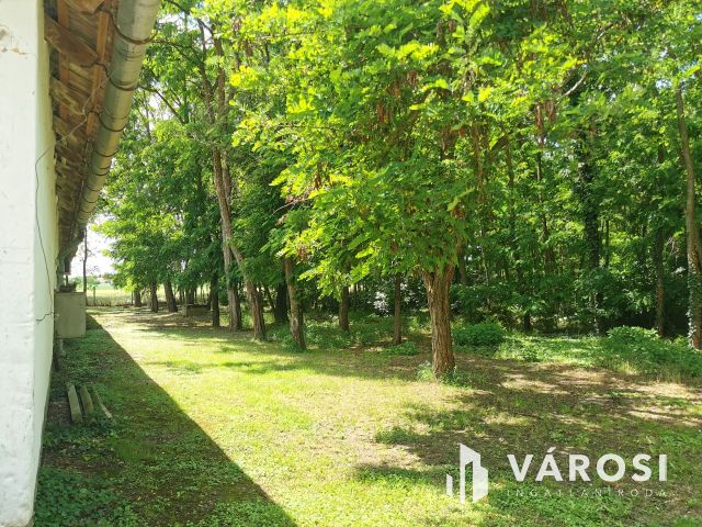 Működő állattartó farm berendezésekkel együtt eladó!