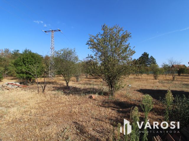 Tanya Csongrád-Bokroson