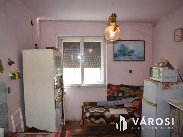 Minden egy helyen, egy igazi tanyán!