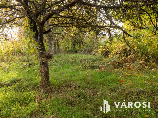 Zártkerti telek Tabajdon 2413 Ft /m2 áron