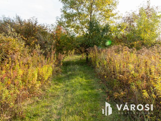 Zártkerti telek Tabajdon 2413 Ft /m2 áron