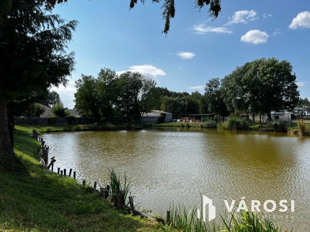 Simaság belterületi horgásztó,engedélyekkel6000m2 eladó!