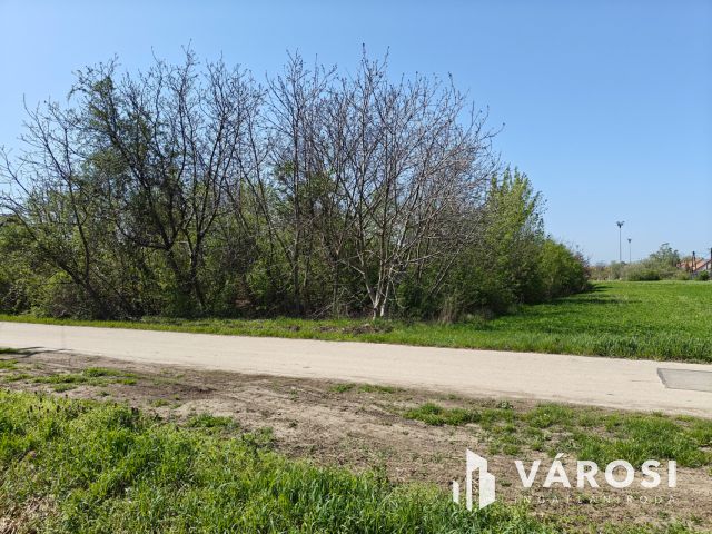 Eladó telek, Makón a Tatár utcában!