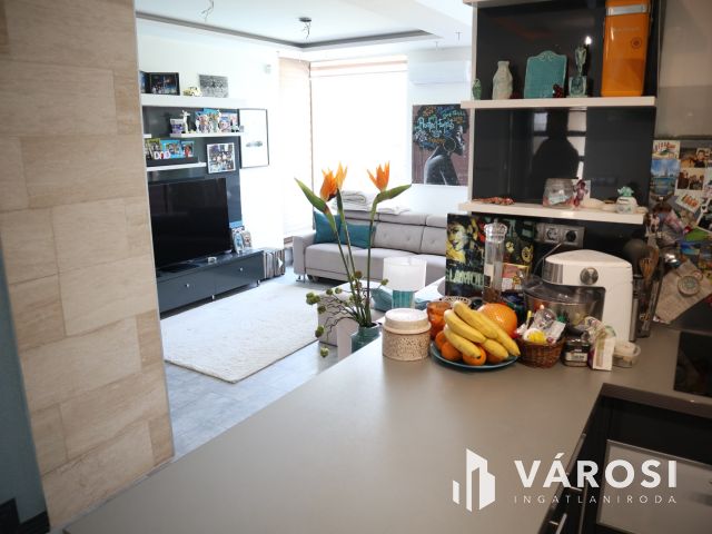 Újszeged csendes utcájában Exkluzív családi ház!