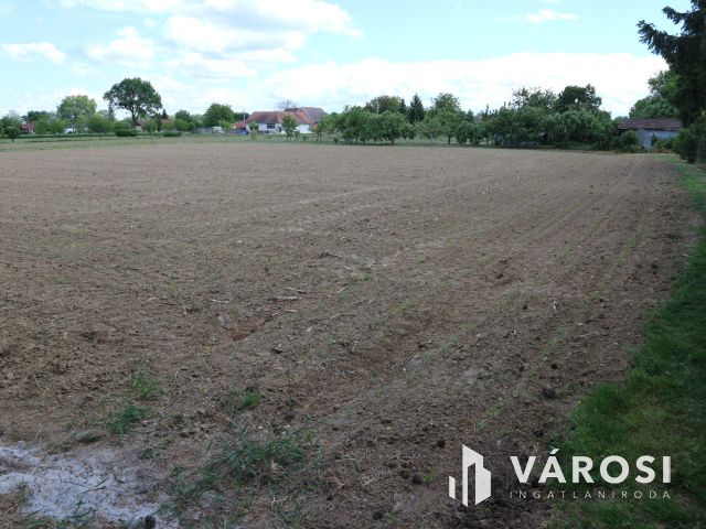 Körmend-H.nádalja Belterületi üres beépíthető telek 3693m2