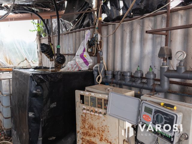 Erdészház utcai gazdaság Eladó