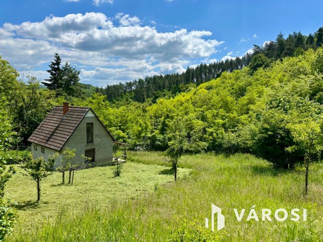 Erdei környezetben, vendégháznak alkalmas komplexum eladó!