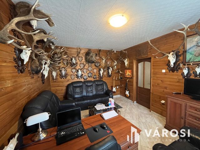 Jó helyen, jó ingatlan, jó vállalkozásnak!!!