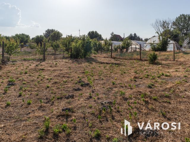 Szatymazi zártkertben könnyűszerkezetes házikó