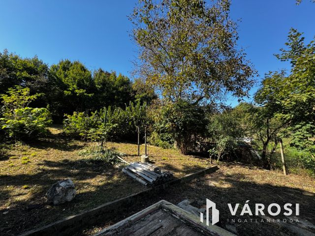 Telek, ahol az ötletek otthonra lelnek!