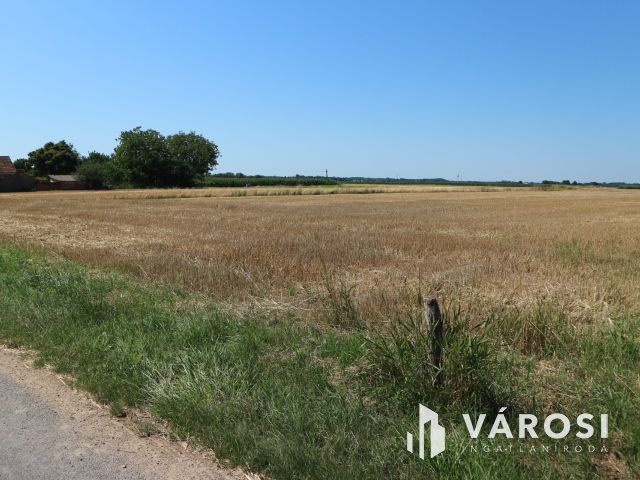 Egyházashollós ,belterületi üres telkek eladók 3x2100m2