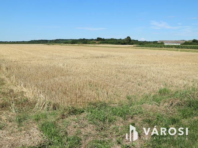 Egyházashollós ,belterületi üres telkek eladók 3x2100m2