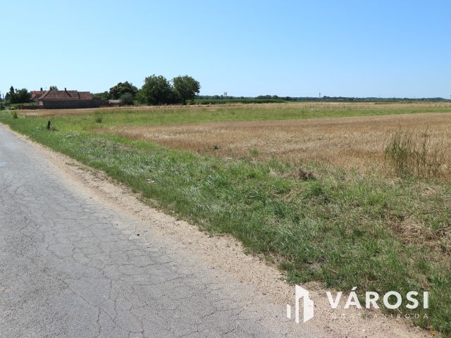 Egyházashollós ,belterületi üres telkek eladók 3x2100m2