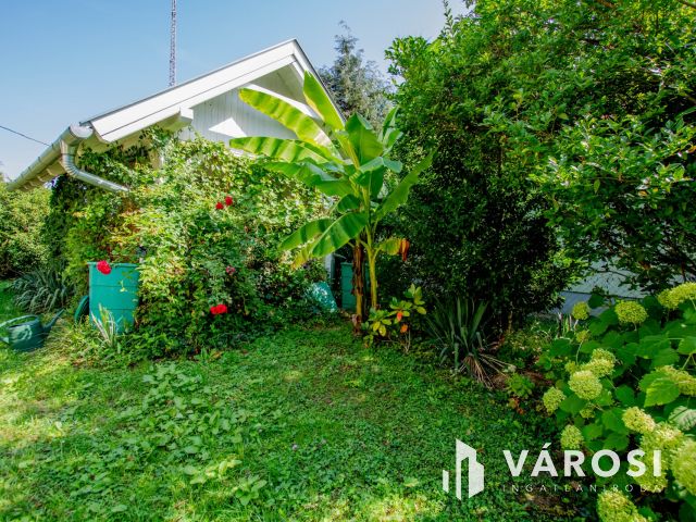 Gosztolában, beleszeretős ház új szerelmét várja!