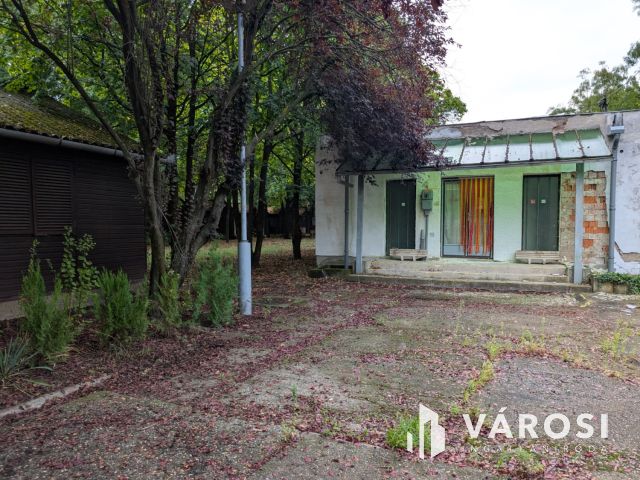 Nagy vízparti telek épületekkel a Kákafoki holtágon!