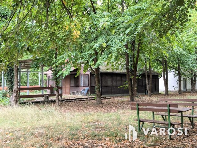 Nagy vízparti telek épületekkel a Kákafoki holtágon!