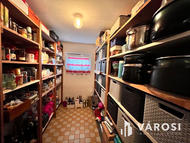 Tökéletes, tágas otthon családoknak –Debrecen–Csapókertben