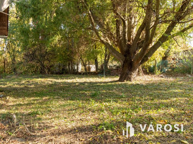 Patakparti építési telek Tinnyén – csak készpénzes vevőknek