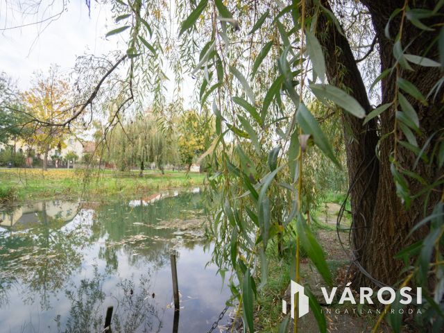 Családi ház a Holt-Duna partján, osztható telekkel!
