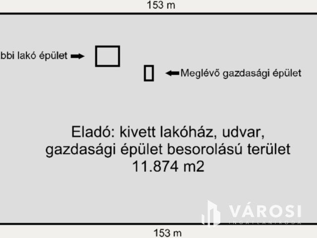 Kivételes lehetőség: 1,18 hektár, ahol a föld értéket hoz!