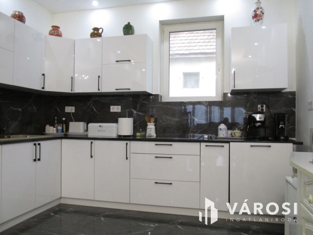 Új építésű nagy családi ház tágas telekkel