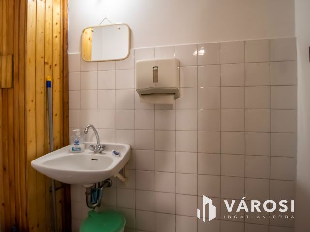 Családi ház nagycsaládnak, ingatlanfejlesztőknek